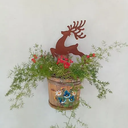 Il Nido Sottoguda