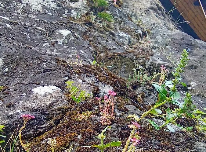 Сasa de vacaciones Il Nido